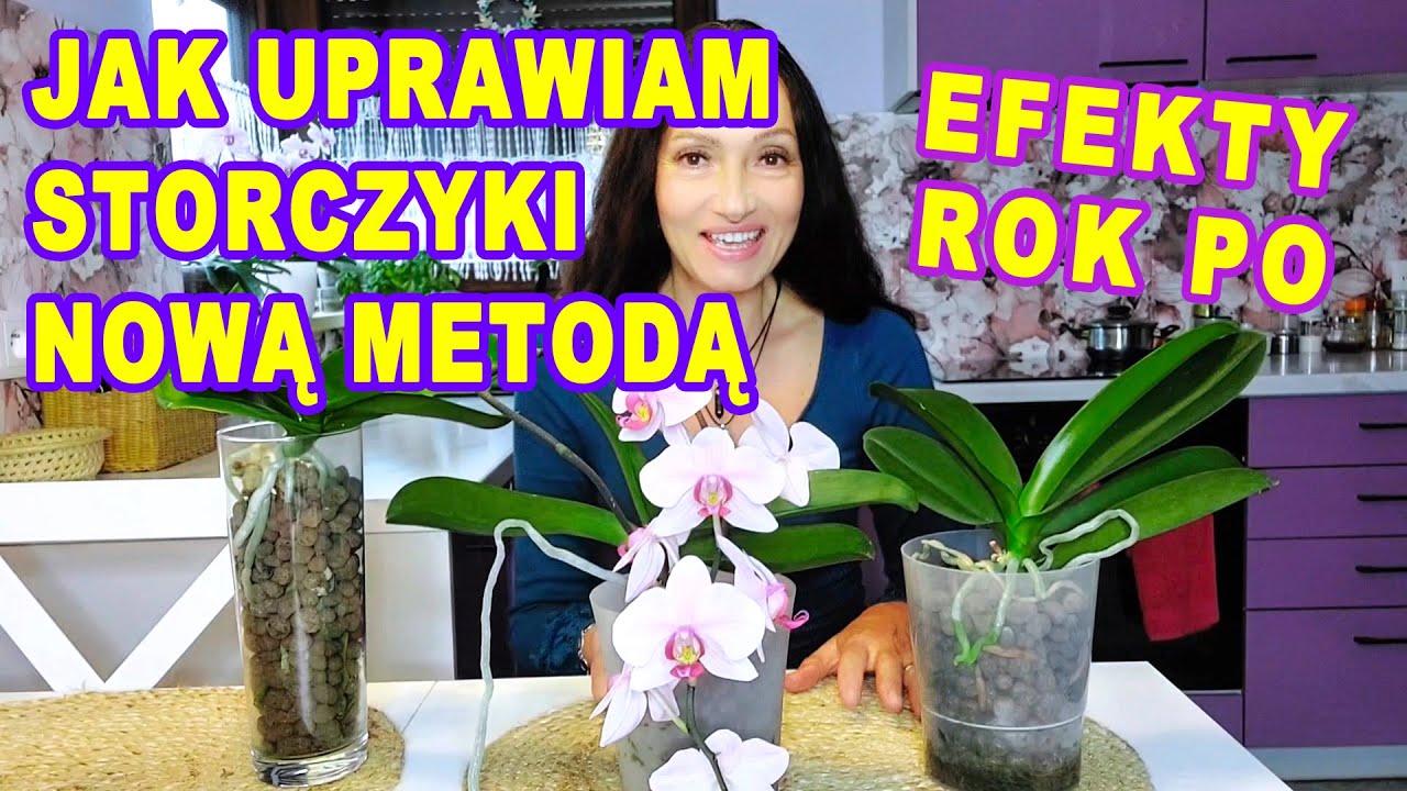 Jak uprawiam storczyki Nową Metodą - Zobacz efekty 1 rok po jej wdrożeniu