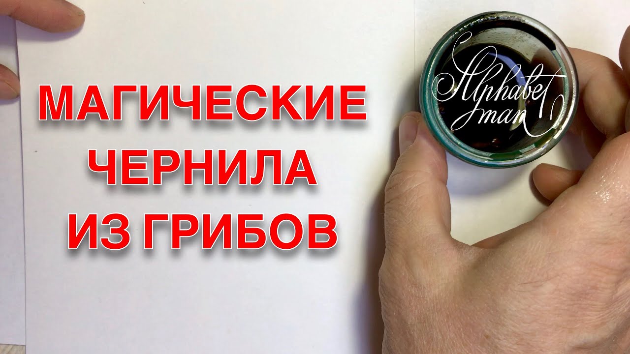 Делаем чернила из грибов. Чернильный гриб навозник белый.