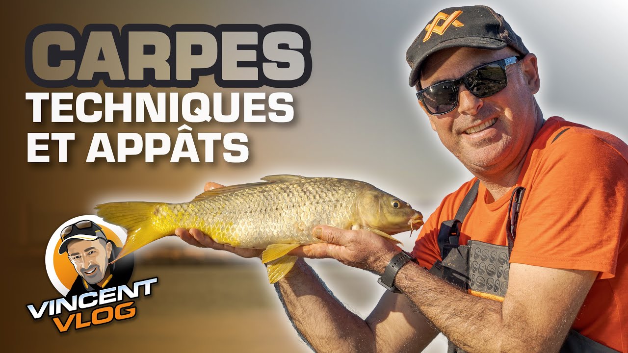 COMMENT PÊCHER LA CARPE AU FEEDER : On vous dit tout 😱