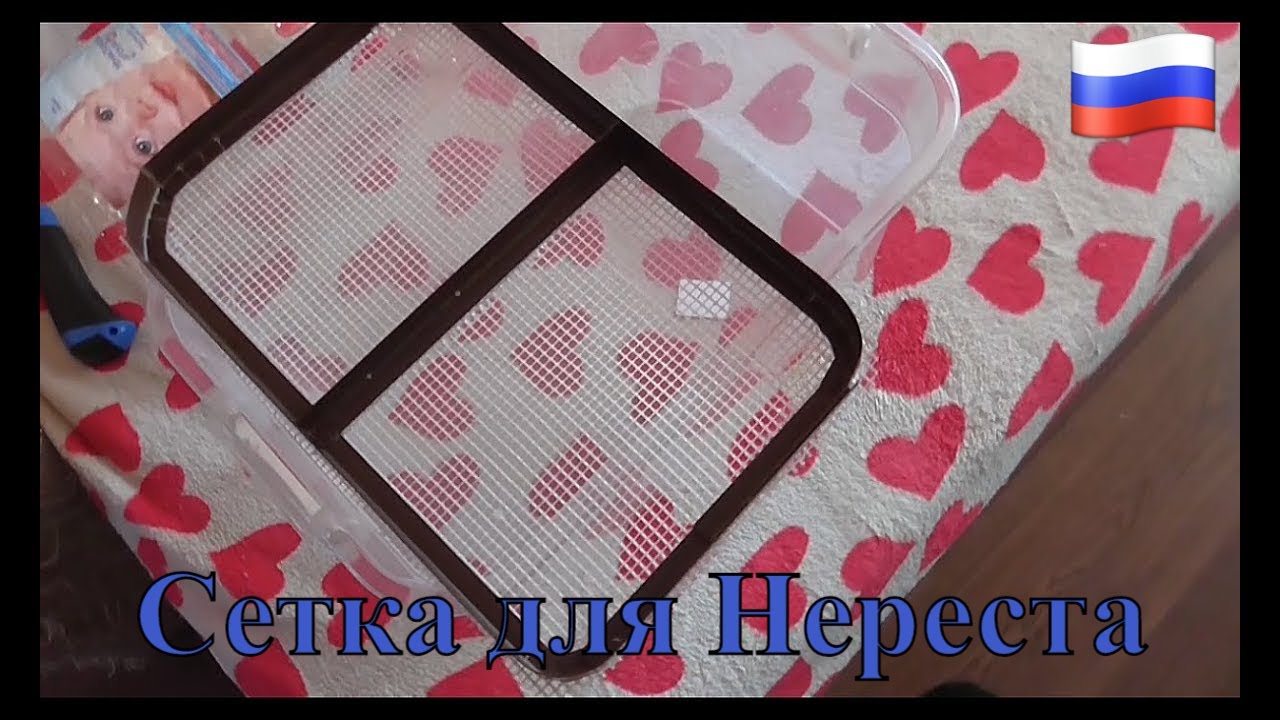 Сетка для нерестовика. Людвигия. Малёк Неона.