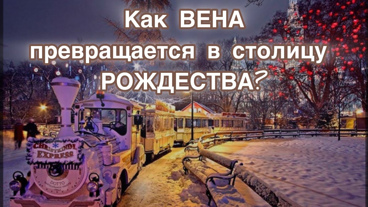 Чем удивляет Вена на Рождество: праздничный гид🎄