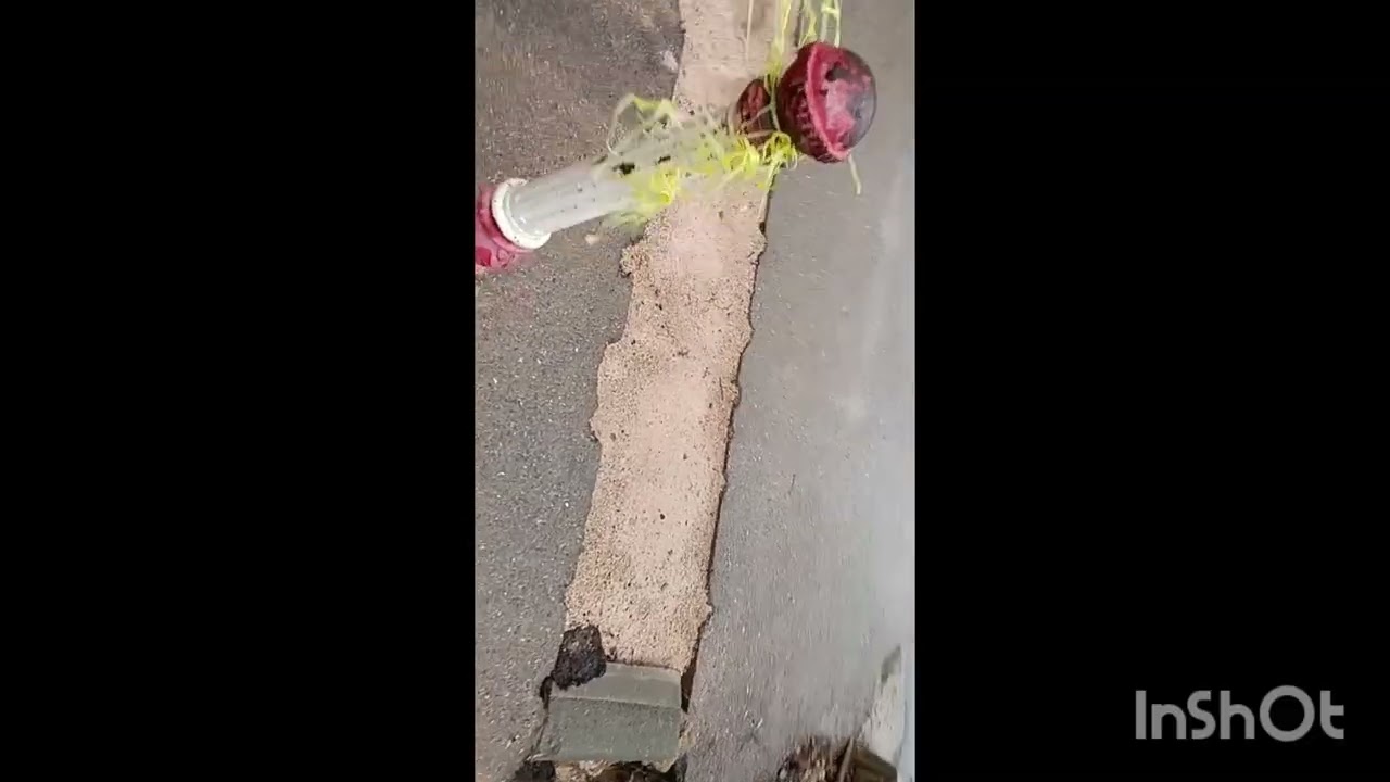 يوم مع أمي 🤲🏻مع الطبيب👀العيون ونو تصب☔ تمرميدة وصافي