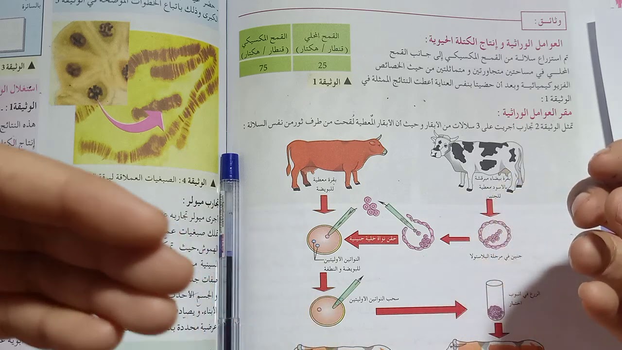 مقر العوامل الوراثية. سنة اولي ثانوي. تجربة الابقار. تجارب ميولر......