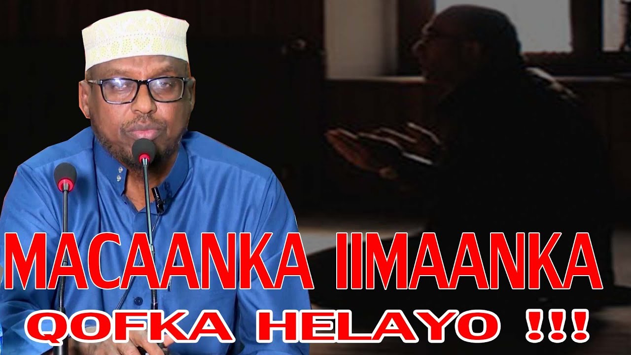 MACAANKA IIMAANKA QOFKA HELAAYO WAA KEE ? || Sh Mustafe Ismaaciil
