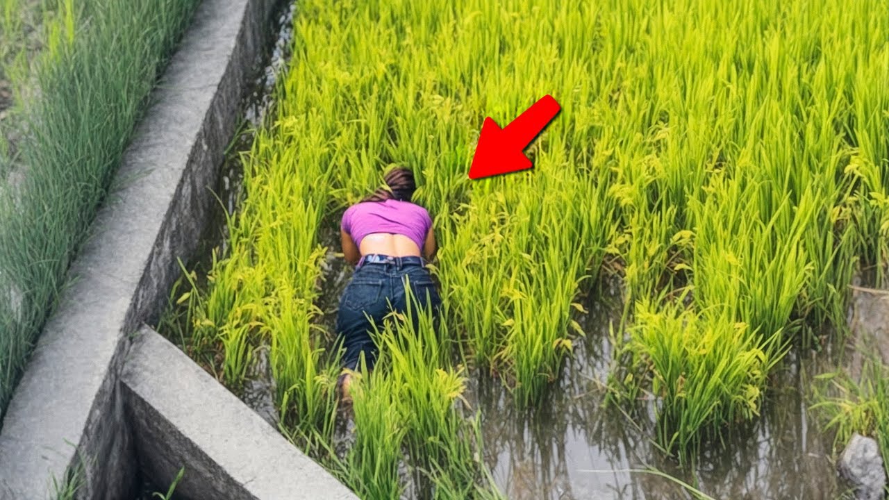 Una Cámara Captó un Momento Que No Puede Pasar Desapercibido