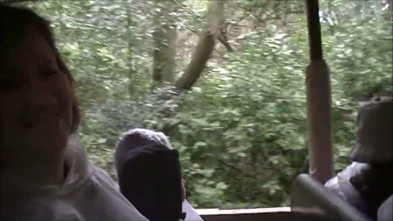 Chasing Poachers Through Mongavi Gorge At #disneysanimalkingdom
