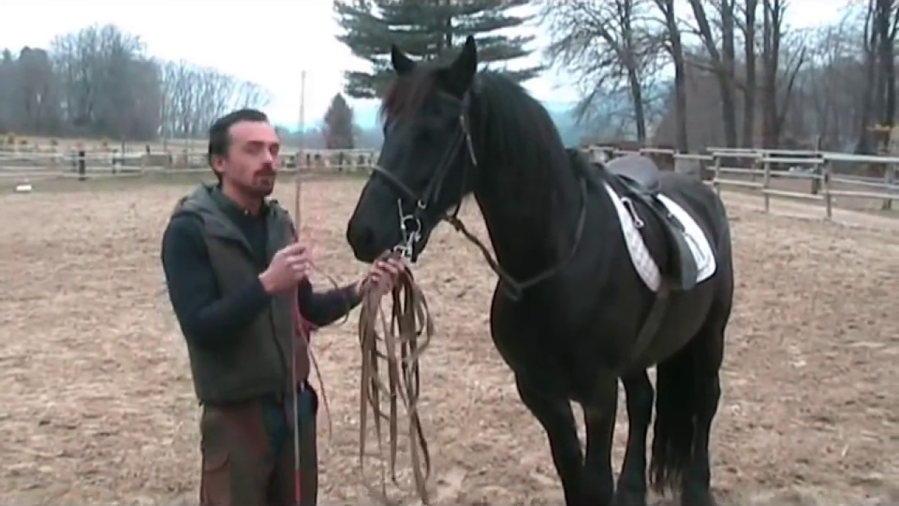 Francesco Vedani Equitazione - Tranquillizzare un cavallo impaurito 1 parte