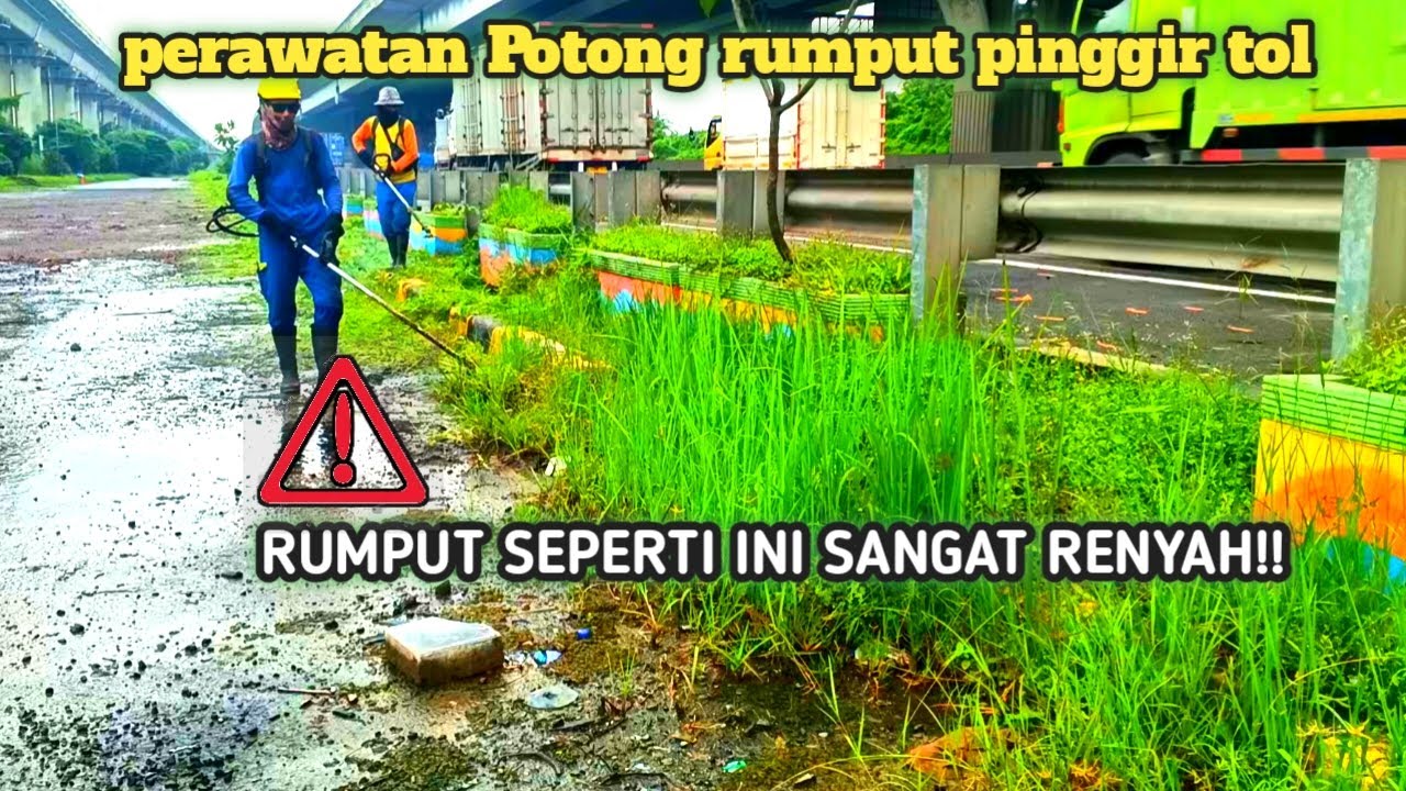 Perawatan Rutin: Merapikan Bahu Jalan Tol yang Mulai Rimbun