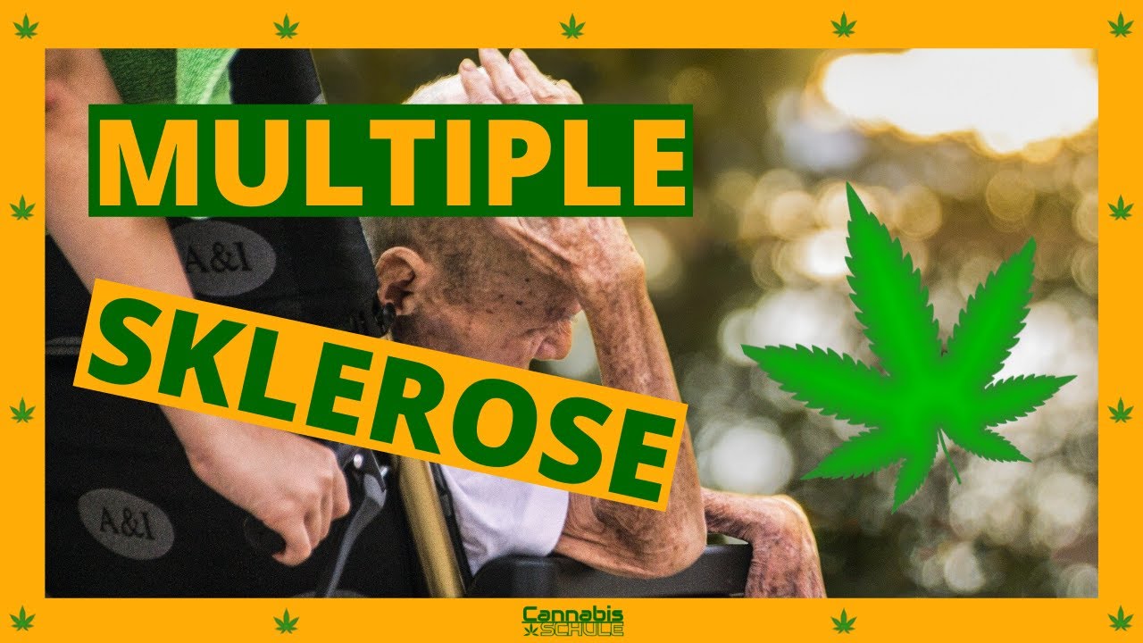 So kann Cannabis bei MS wirklich helfen - Multiple Sklerose