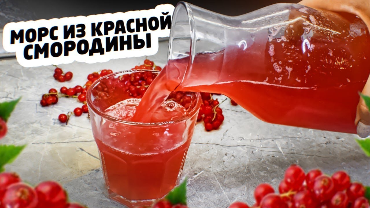 МОРС из КРАСНОЙ СМОРОДИНЫ. Натуральный и очень полезный!
