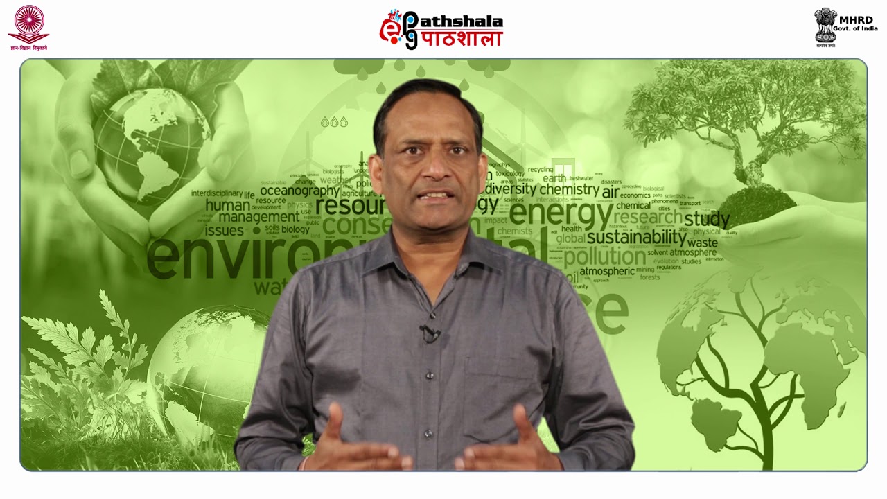 Synthetic Fertilizers
