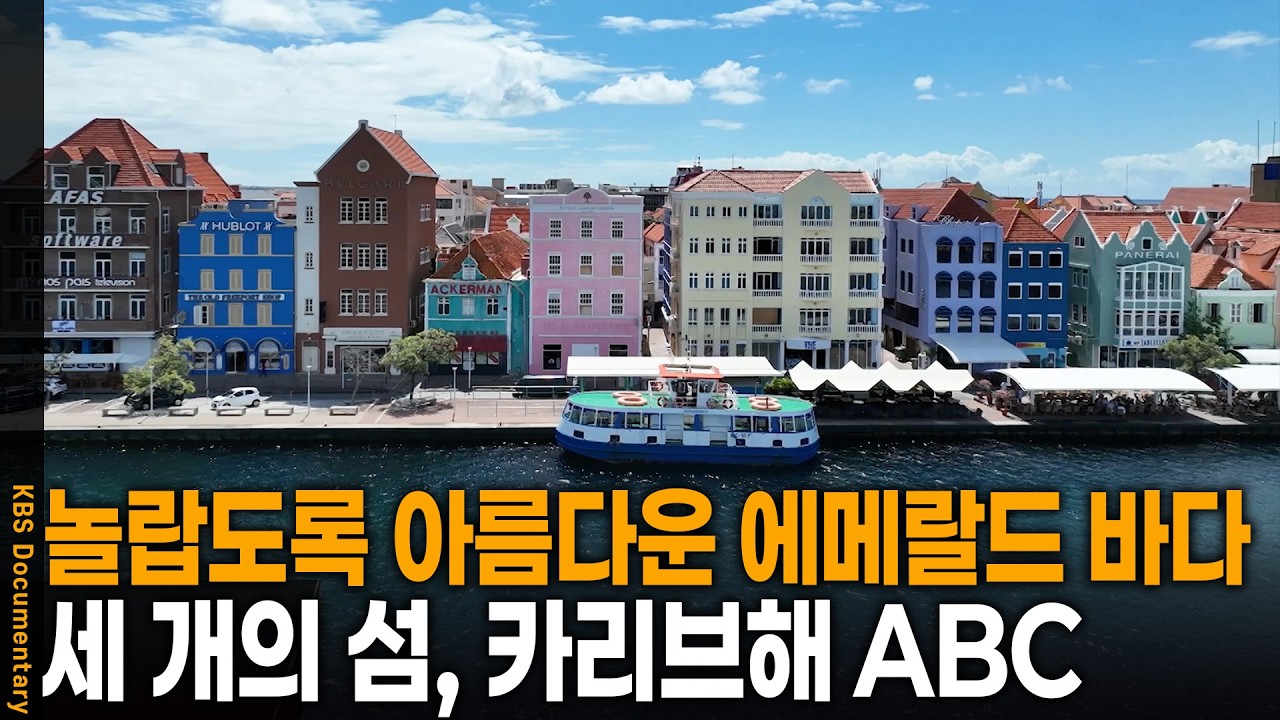 따사로운 햇살 아래 에메랄드빛 바다, 카리브해를 가다 | KBS 걸어서 세계 속으로 20250619 방송
