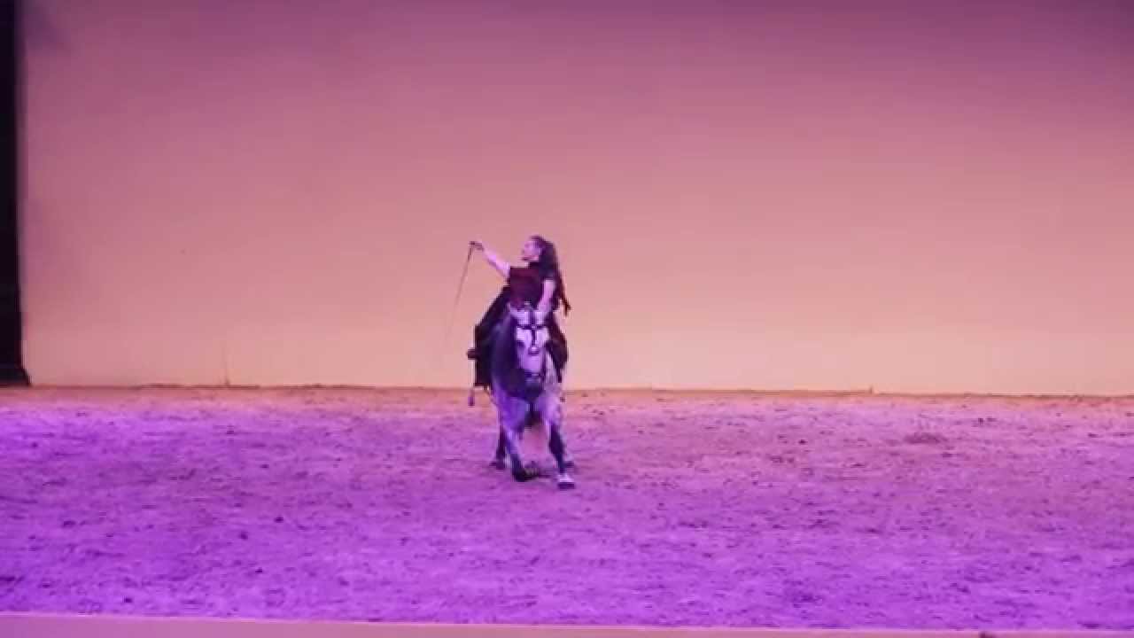 Lorelei Fusio, Trophée Equestria 2015