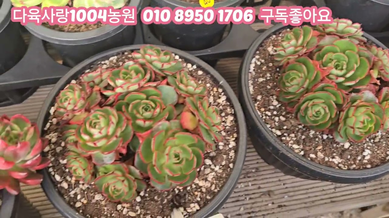 국민이3천원.. 군생들 저렴이드려요놀러오셔요