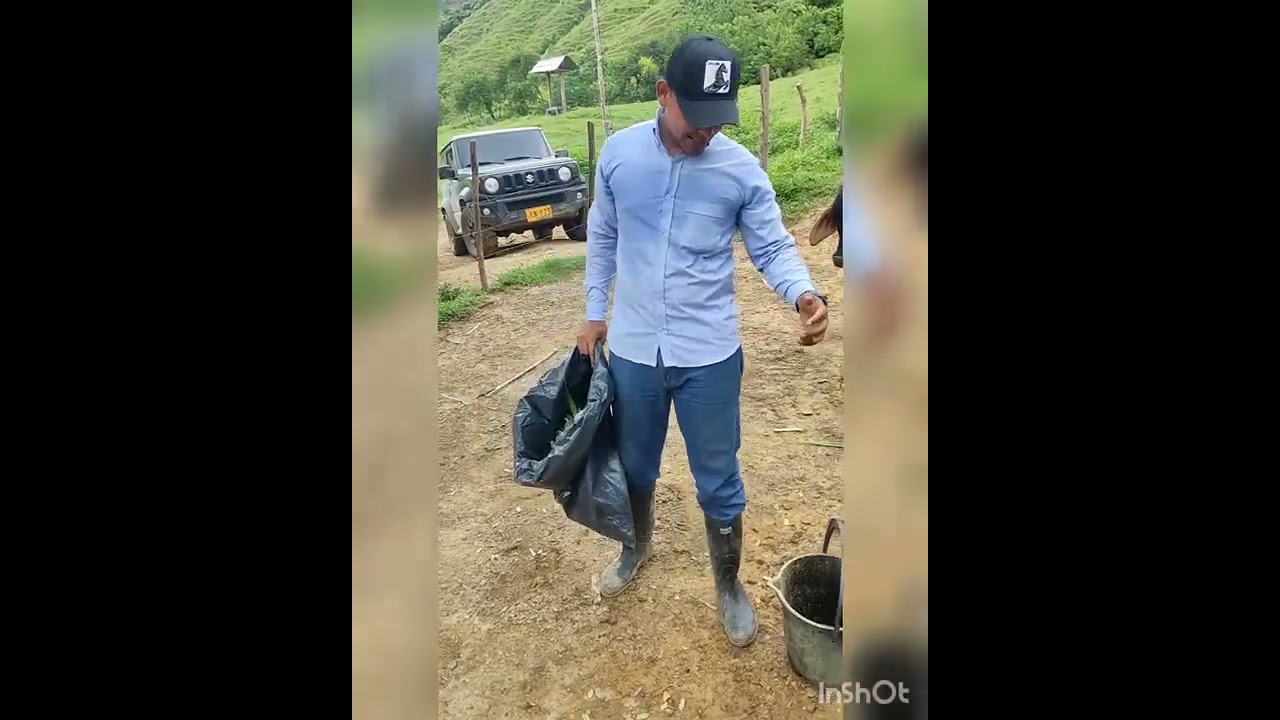 tareas del campo