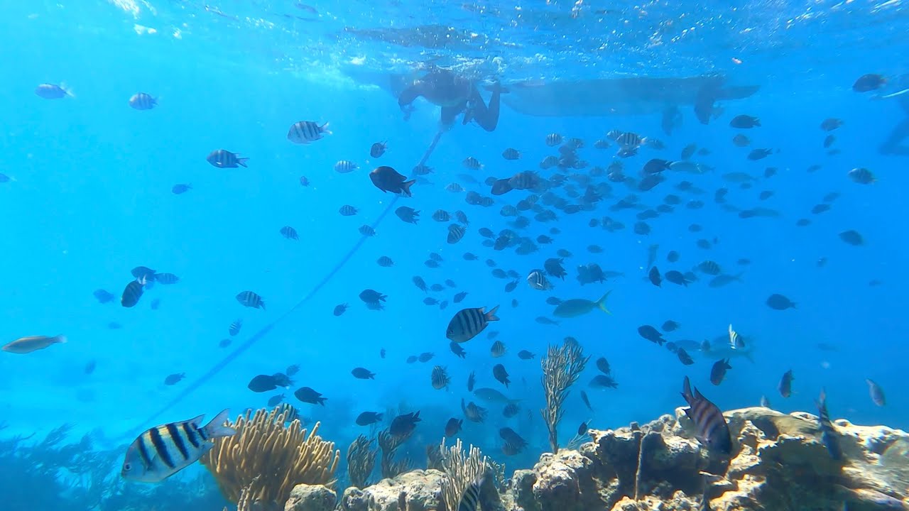 Sur et sous l'eau de Nassau aux Exumas! // EPISODE 7 Voilier Malik