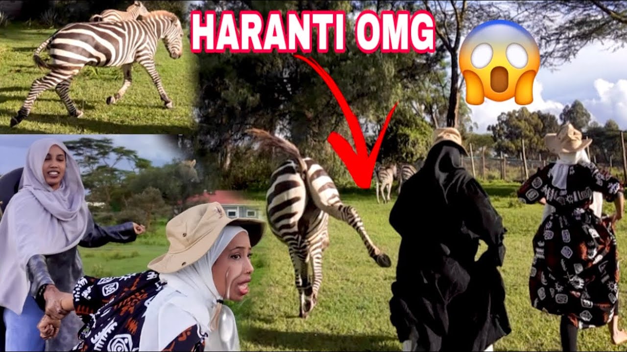 DAMER FAROW AYAA IHARATIYAY NAXDIN DALXIISKENA MANTA 😦 