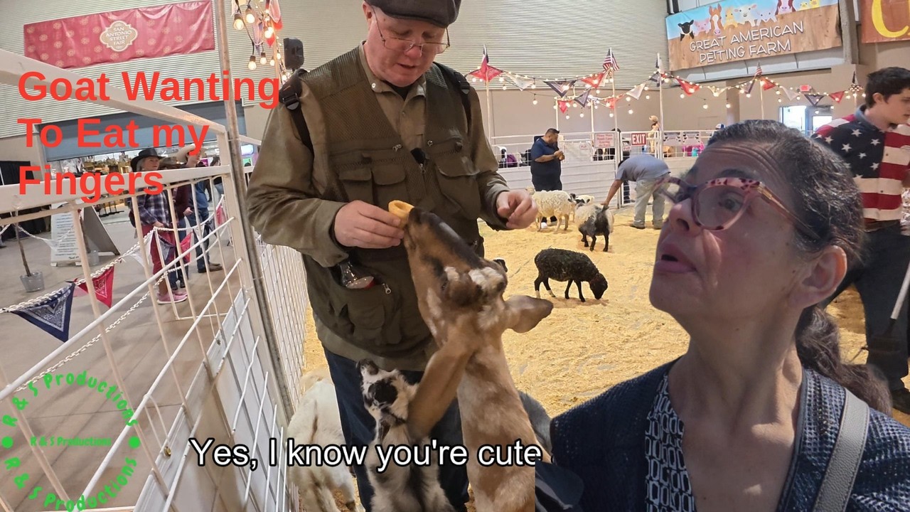 FARM Animals Get Fed But Things Go WRONG?