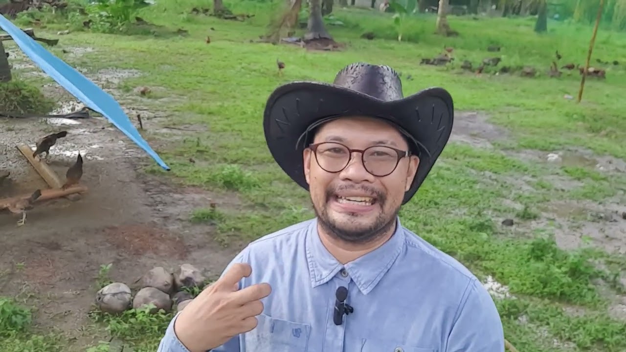 Paano mo ibibreed ang manok na hindi mo alam ang Bloodline