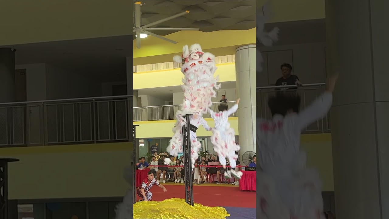 Fall and Rise | Lion dance