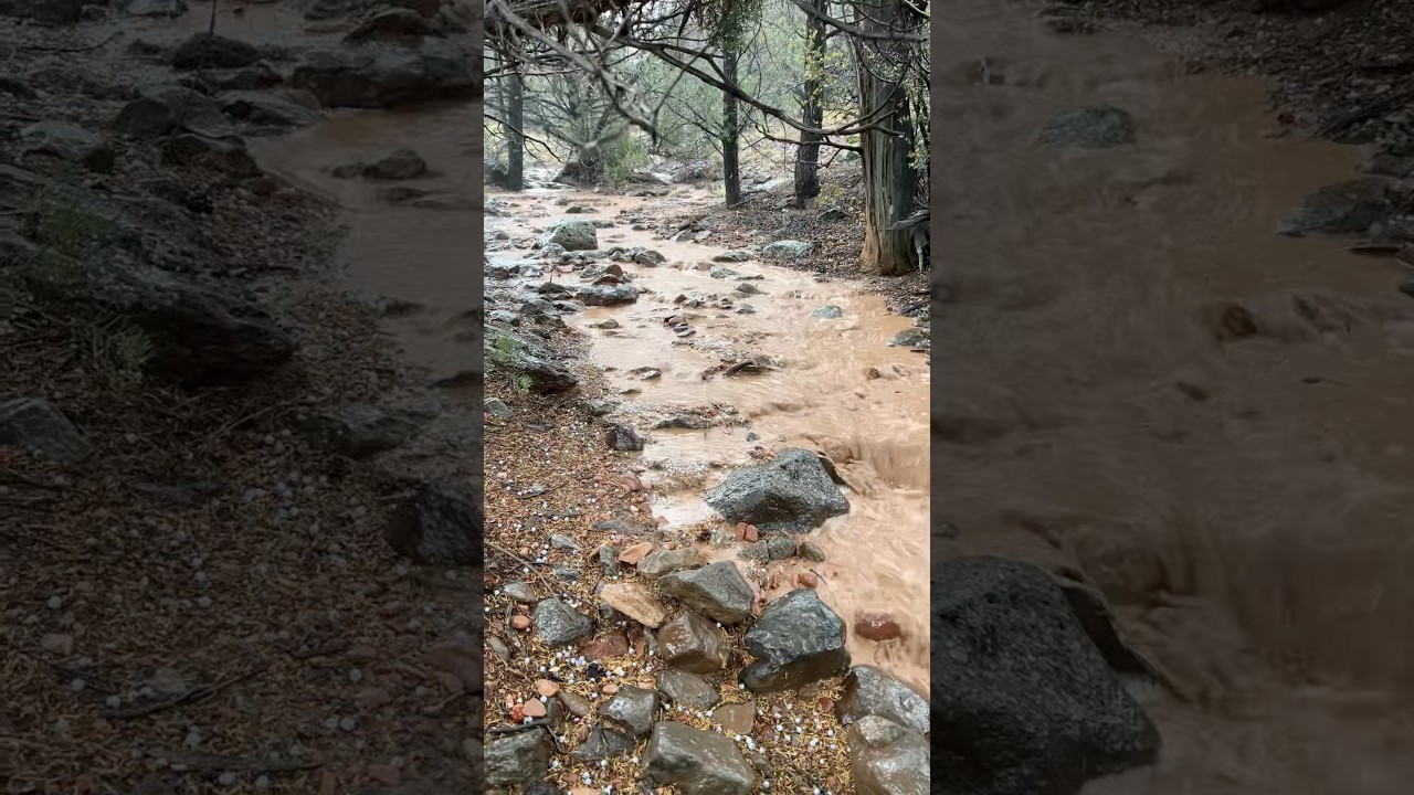N. Arizona Check Dams Water Harvesting 🤘💧🌲