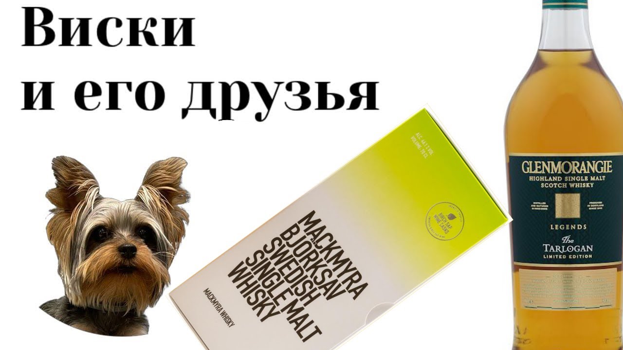 Glenmorangie Tarlogan против Mackmyra Björksav