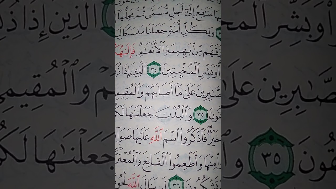 ما معنى كلمه 