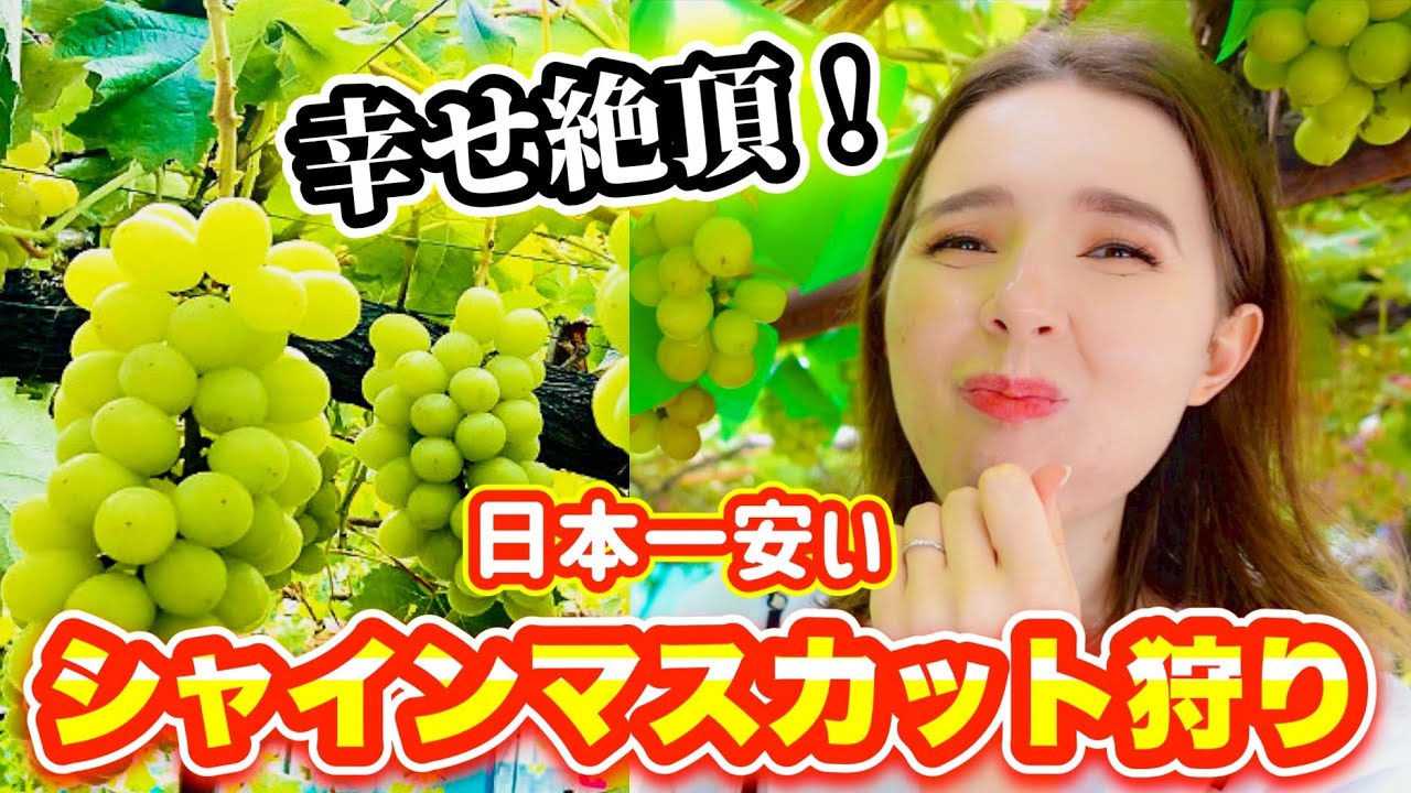 ワインの国から来たフランス人が日本でぶどう狩りをしたらこんなに喜ぶと思わなかった