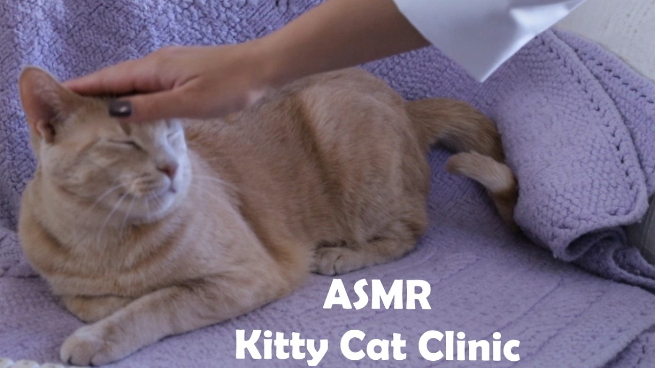 ASMR Roleplay 🩺🐈 Kitty Cat Clinic (whisper, typing, petting)
