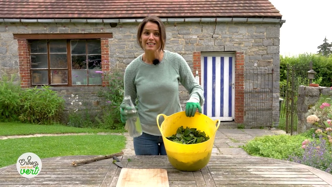 #TUTO : Comment r&eacute;alisez un fertilisant &agrave; base de consoude ? 🌱👩🏼&zwj;🌾
