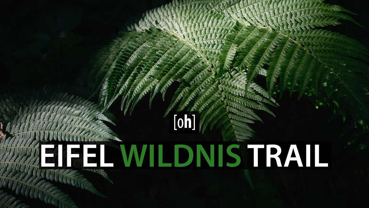 Eifel Wildnis Trail 2 Wanderung mit der Fuji X100VI