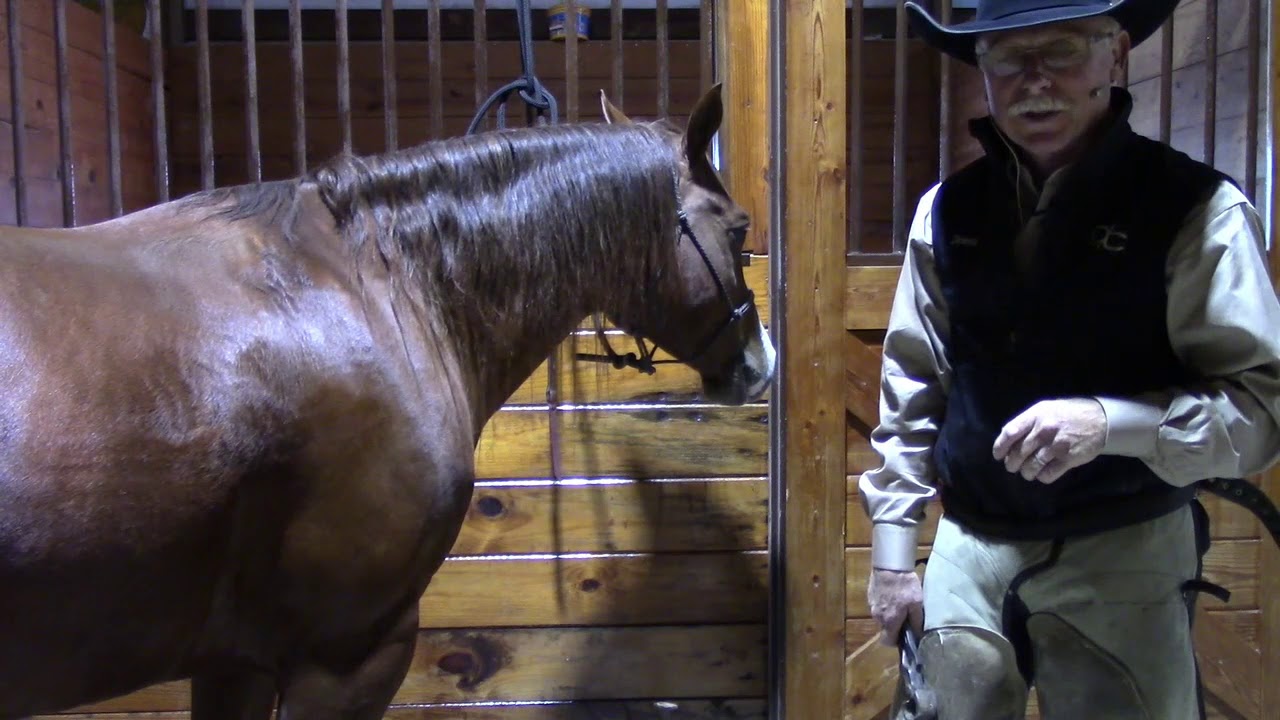 Removing Horseshoes and Foot Balance with Dennis Cappel