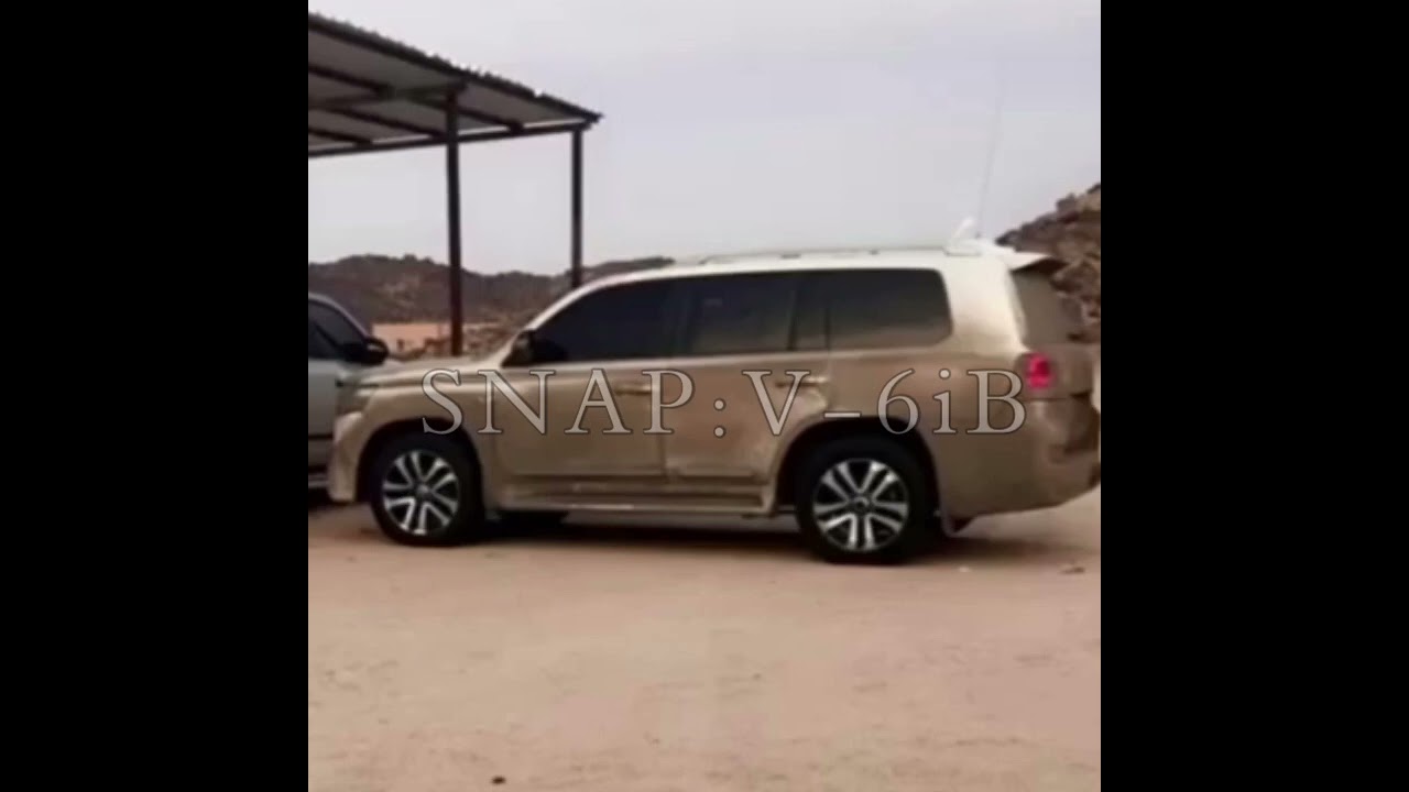 حشان ال مطلق نادررر ☝️