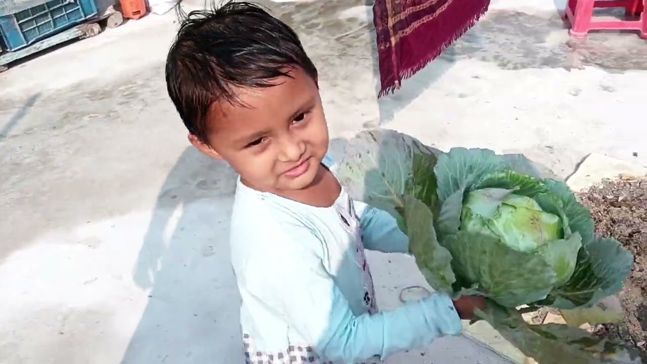 গরমের প্রস্তুতি চলছে ছাদ বাগানে,বাগান সুন্দর ও সতেজ রাখার উপায় ||#roofgarden #এসোবাগানকরি 