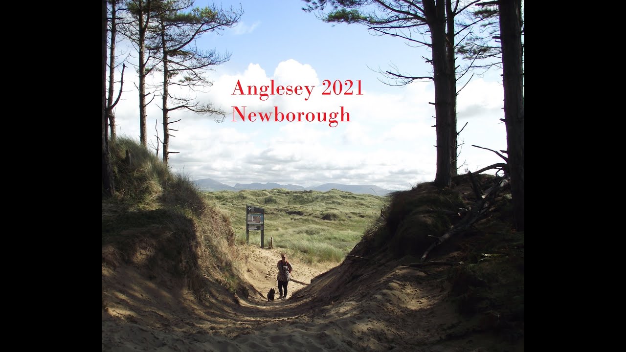 White Lodge Caravan Park June 2021