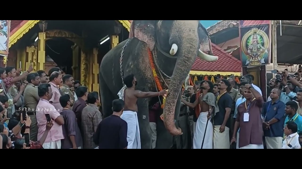 Thirunakkara pooram 2025 | തിരുനക്കര പൂരം | Pampadi Rajan | Thrikkadavoor Shivaraju | 