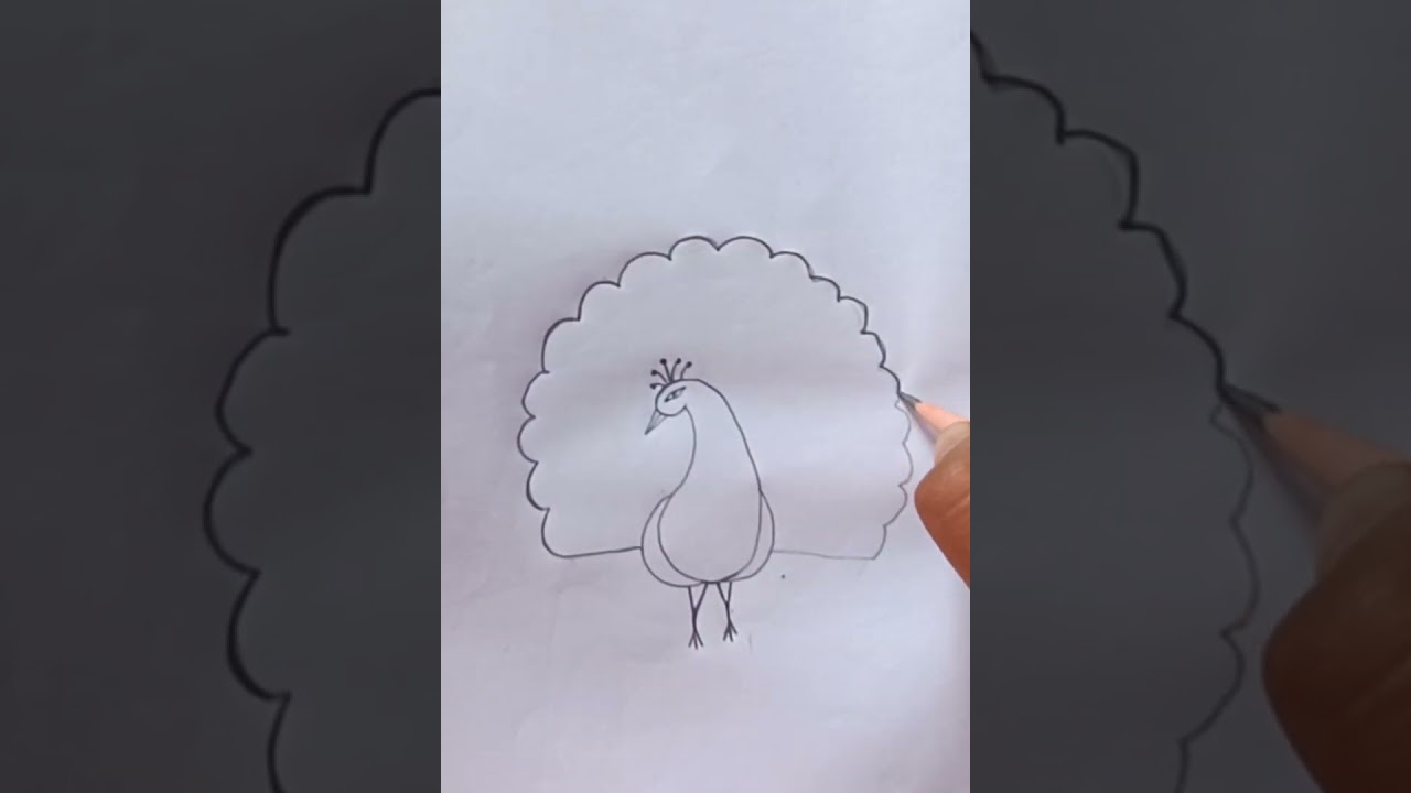 How to Draw peacock 🦚 // Easy Drawing step by step #rongtuli