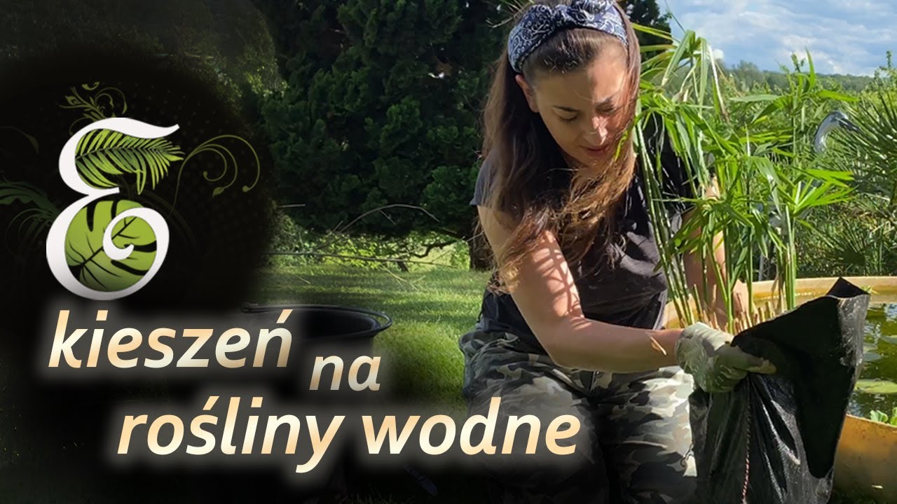 Kieszenie do roślin wodnych. Jak sadzić rośliny wodne bez donic. Papirus w oczku wodnym. Egzotycznie