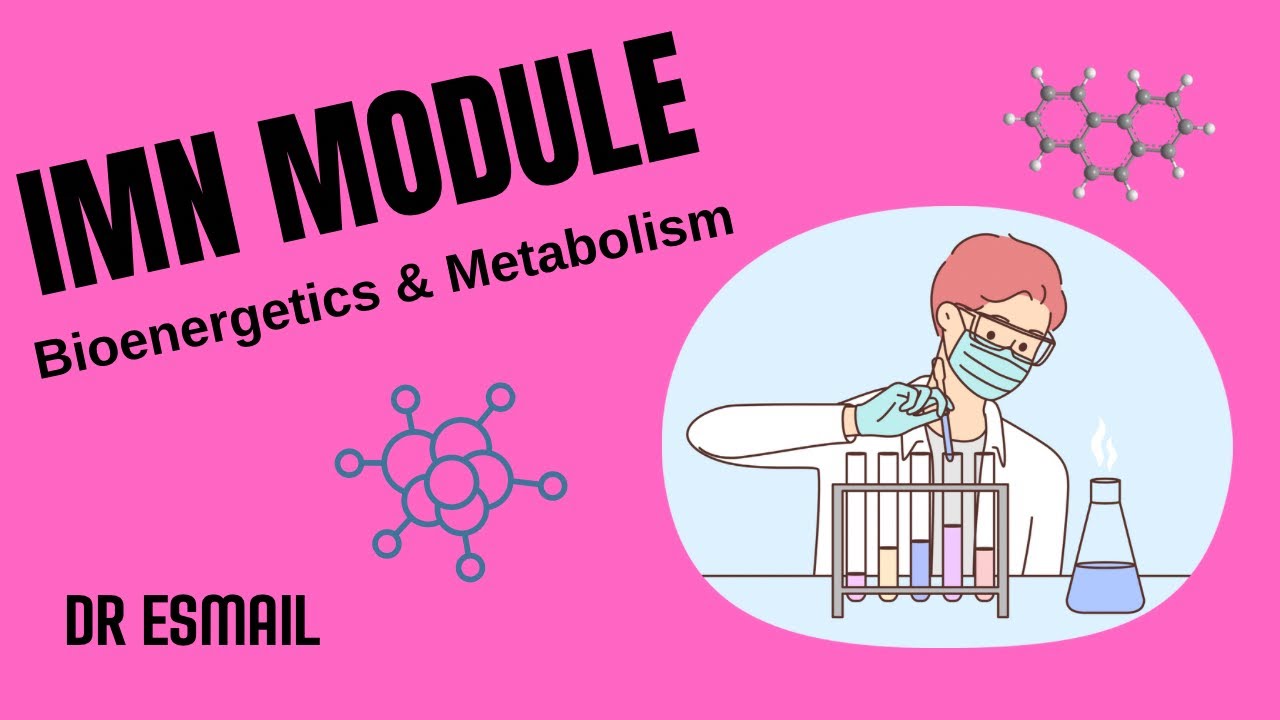 Bioenergetics & Metabolism