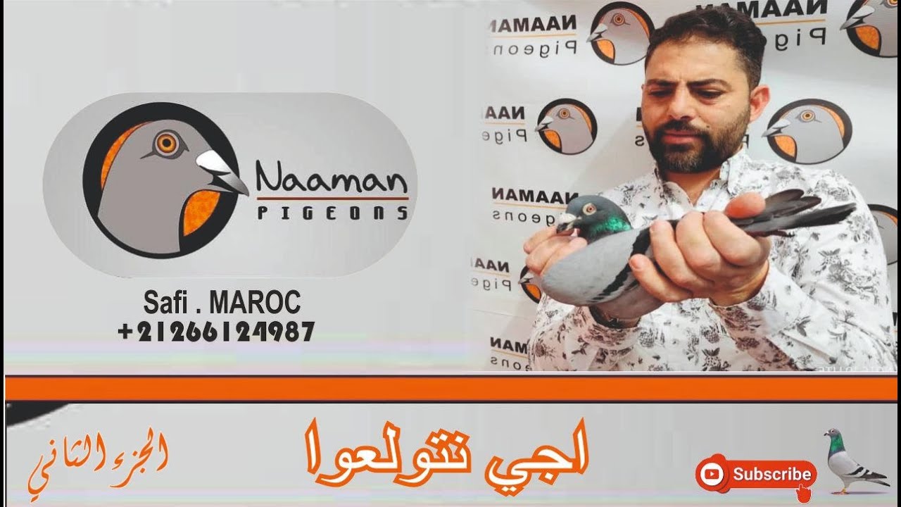 حمام الزاجل 2021| اجي نتولعوا مع الحاج يونس النعمان + سلالات حمام الإنتاج القوية و المشهورة عالمينا