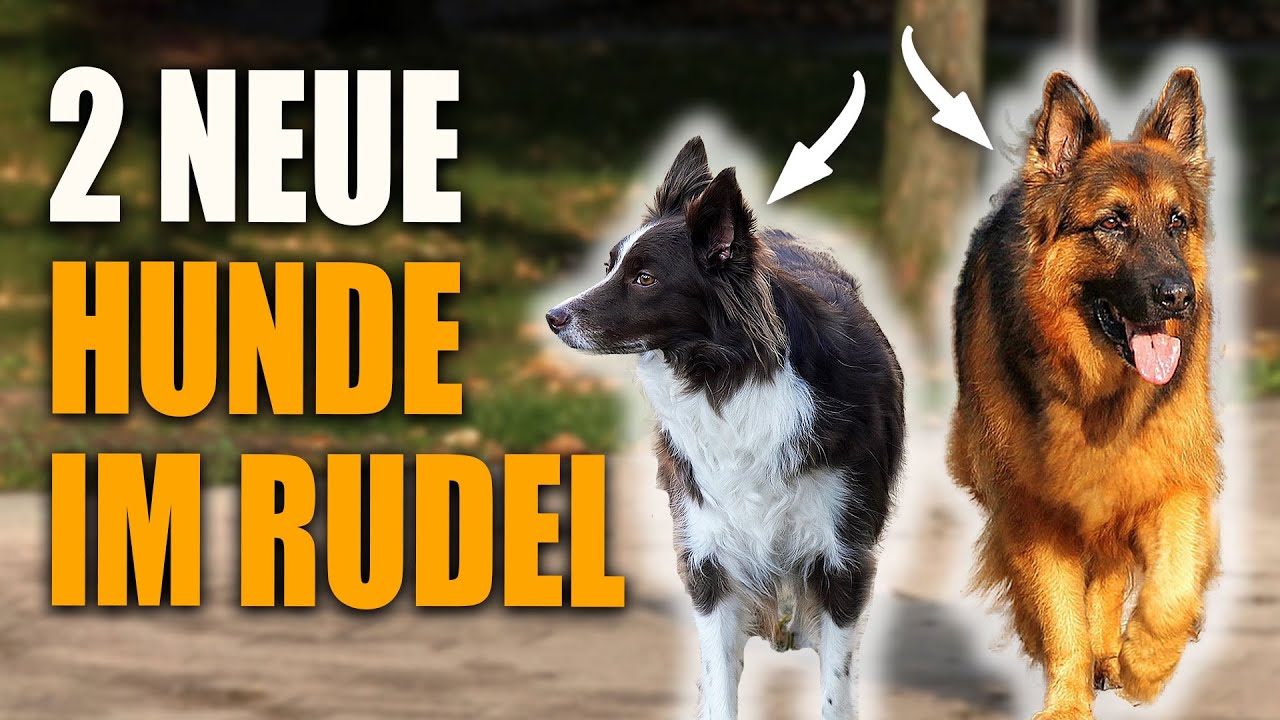 Unsicher vs souverän - so unterschiedliche Charaktere an einem Tag 