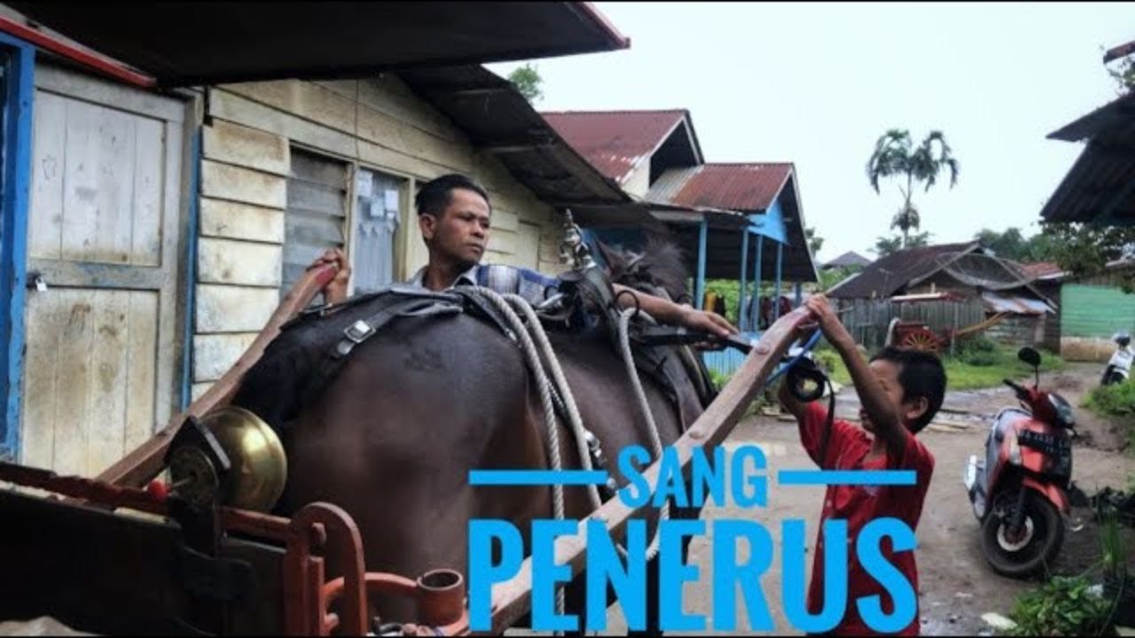 KANDANG KUDA BENDI DI SANJAI || KOTA BUKITTINGGI #horse #animal