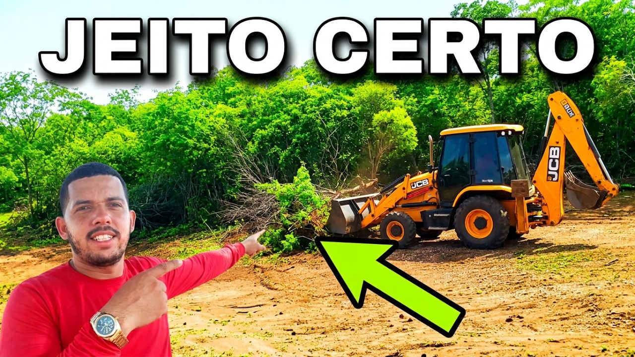 Desmatamento com a retroescavadeira.