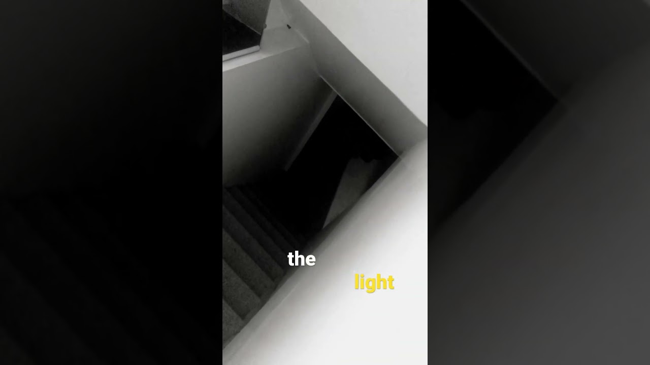 Theres a monster in my basement 💀💀💀 