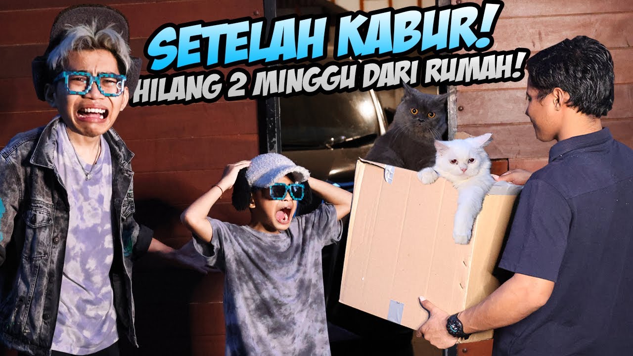 HILANG SELAMA 2 MINGGU, KUCING BOCIL MENANGIS SAAT ADA ORANG YANG BERHASIL MENEMUKAN, SEMUA KAGET!