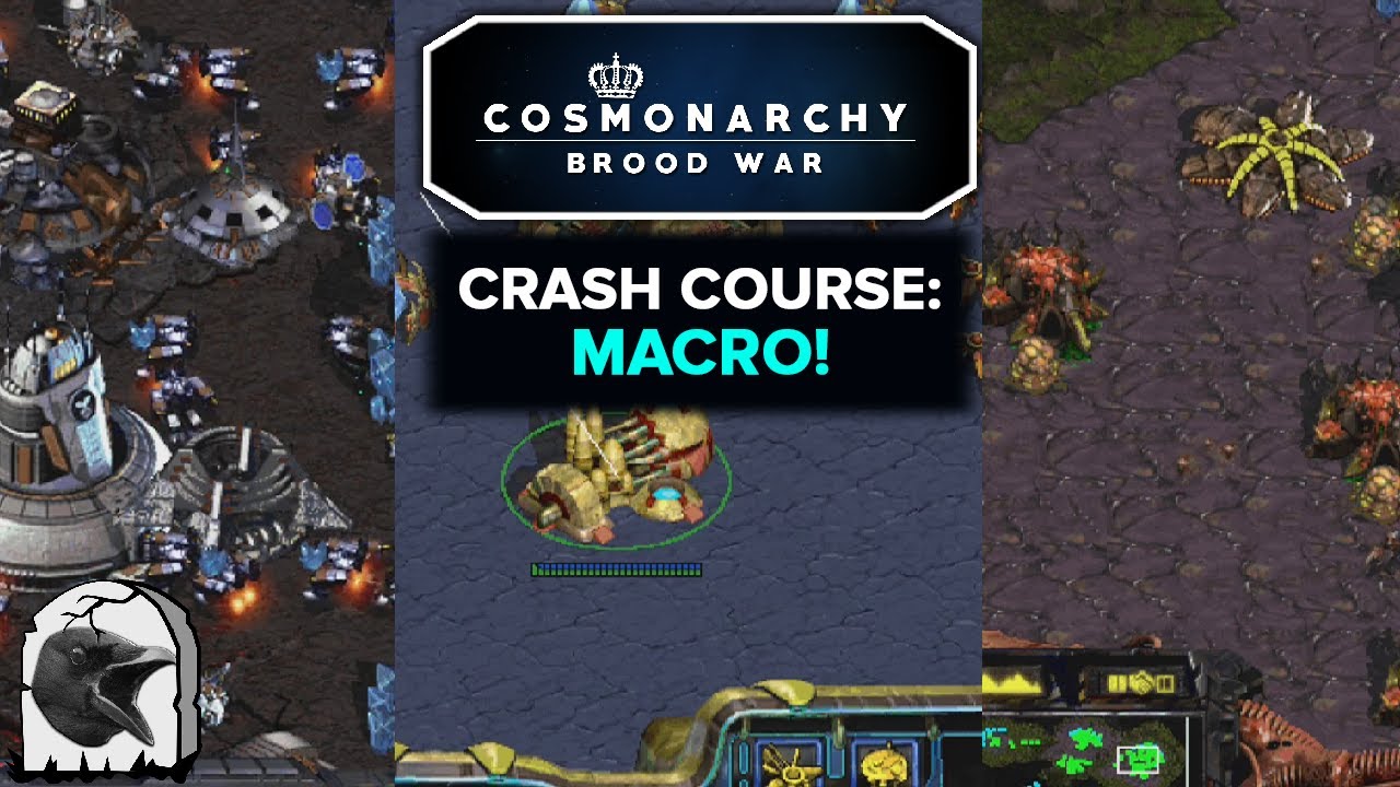 CMBW Crash Course: Macro!