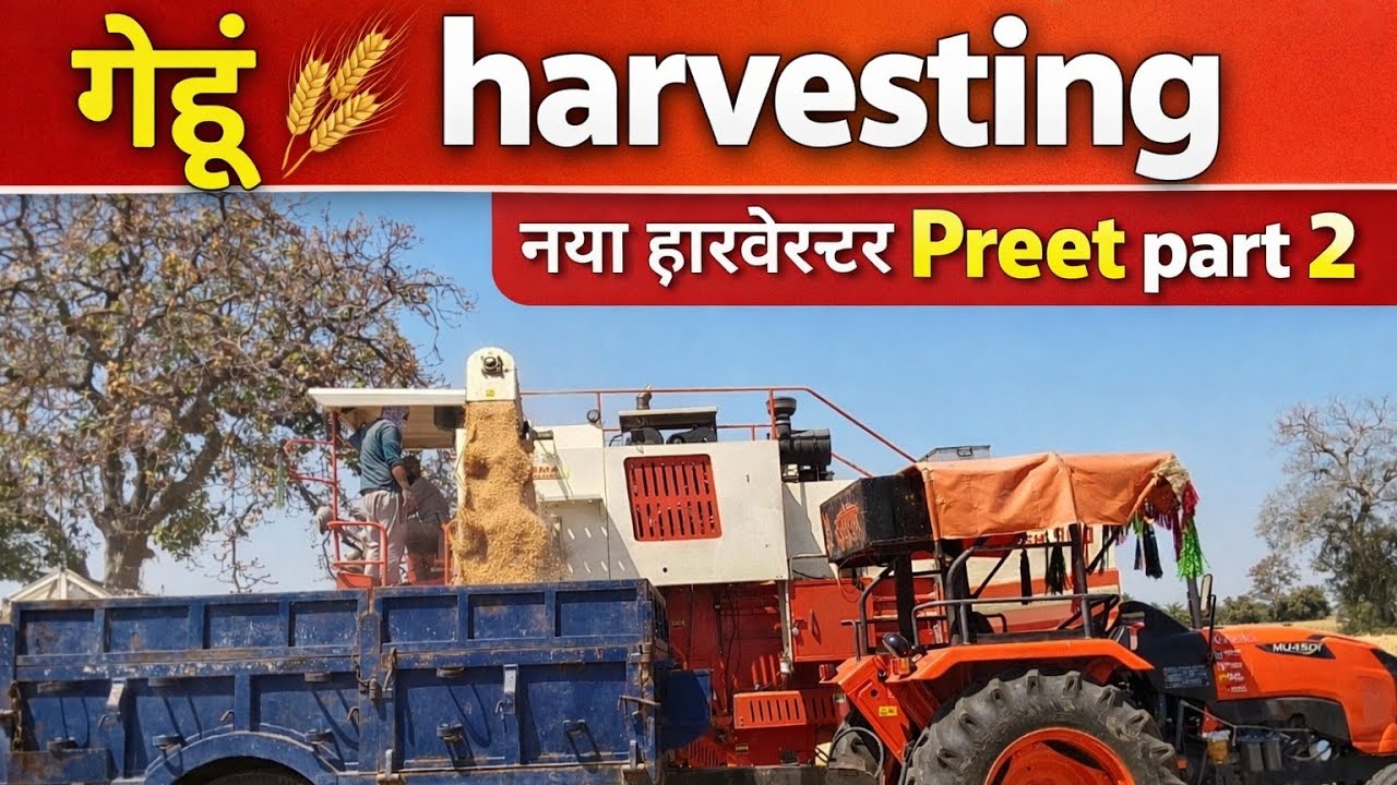 Farmtrac बच गया और Harvester से गैंहू 🌾 निकलवा दिया #khatibadi #farming #harwesting #gahu 