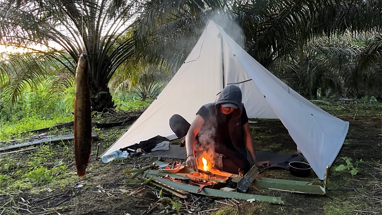 BERMALAM DI KEBUN SAWIT | MANCING IKAN BABON JUMBO & MASAK HASILNYA
