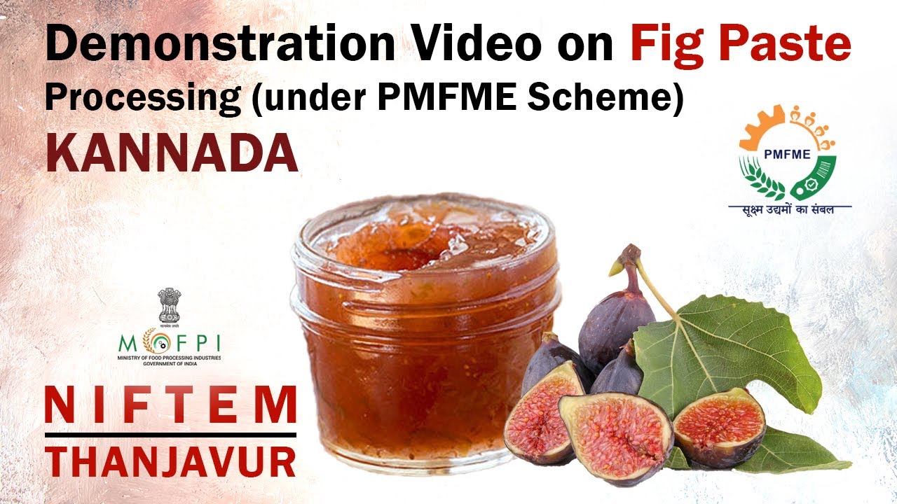 Demonstration Video on Fig Paste Processing (under PMFME Scheme) - KANNADA