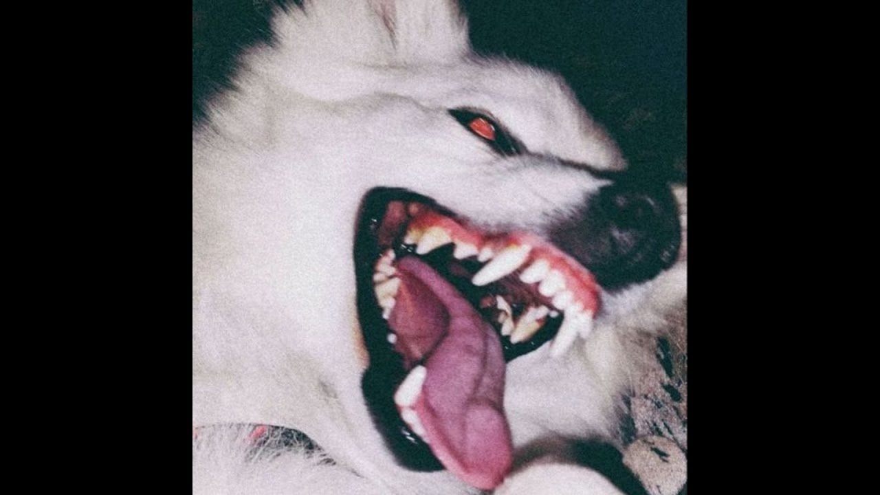 [FREE] Zillakami Type Beat - 